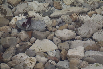 relaxing image of rocks in rippling water
