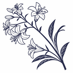 black and white flowers