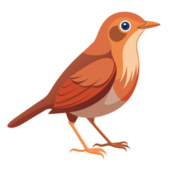 A small, brown bird with a slightly cocked tail and a pale throat stands against a white background.