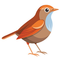 A small, brown bird with a slightly cocked tail and a pale throat stands against a white background.