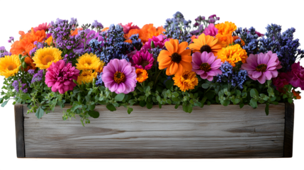 Decorative flower box with blooming flowers, isolated on white background