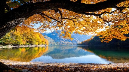 Obraz premium Tranquil autumn pool in rock cave serene nature reflection photography