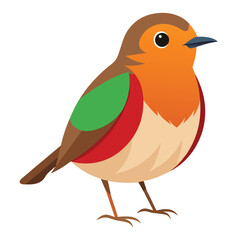 Robin isolated on white background