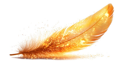 Gold feather soft style isolated on white background