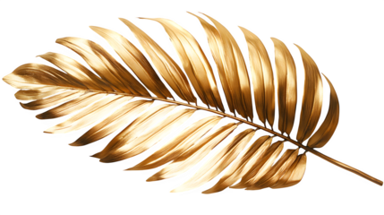 Gold palm leaf isolated on white background, HD, realistic