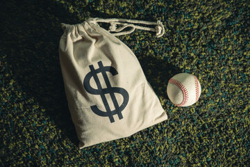 Sports payroll and roster salary money baseball 