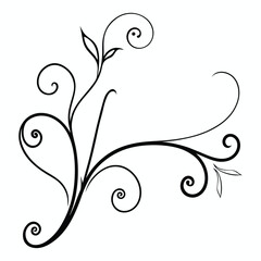 Elegant black and white floral swirl, calligraphic spring flourish scroll ornament design for graphic elements Featuring Curved Vines, Filigree calligraphy motif Fancy lines swirls

