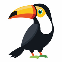 toucan isolated on white