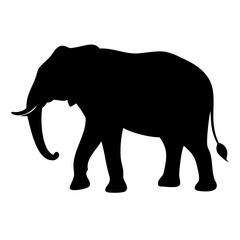 Fototapeta premium Elegant Elephant Vector Silhouette in Black Isolated on Transparent Background