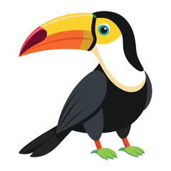 toucan isolated on white
