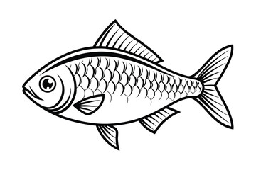 Fish vector silhouette on a white background