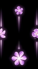 Floral Animation, Dark Background