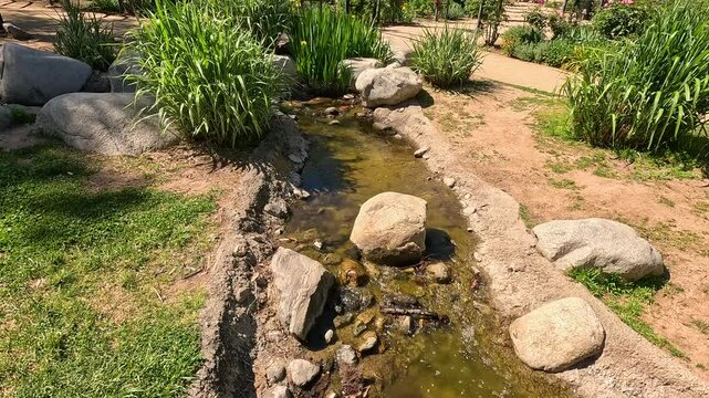 footage of a small creek with lush green trees and plants and colorful flowers at Descanso Gardens La Canada Flintridge California USA