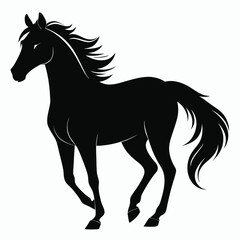 Obraz premium Horse Silhouette (1)