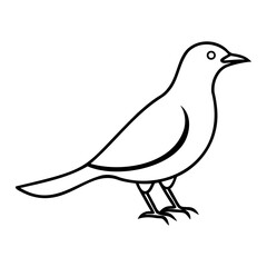 Simple and Elegant Myna Bird Silhouette Vector Line Art Design