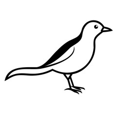 Elegant Myna Bird Silhouette Vector: Line Art Design on Transparent Background