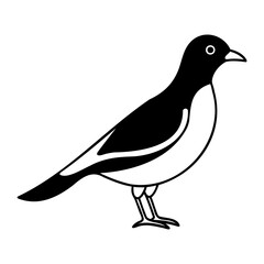 Line art Myna Bird vector black silhouette isolated on transparent background