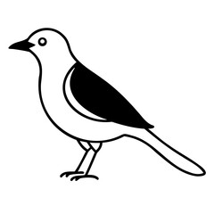 Line art Myna Bird vector black silhouette isolated on transparent background