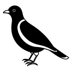 Myna Bird Line Art Vector Black Silhouette Isolated on Transparent Background