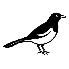 Myna Bird Line Art Vector Black Silhouette Isolated on Transparent Background