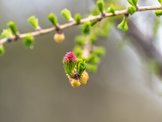 Colorful autumn forest with trees on the shore of a blue lake - top aerial view.