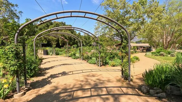 footage along a winding dirt path in the garden with lush green trees and colorful flowers at Descanso Gardens La Canada Flintridge California USA
