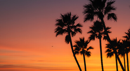 Palm Tree Silhouettes Against Vibrant Sunset Sky Orange and Purple