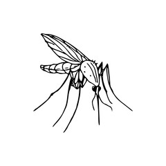 detailed mosquito vector illustration