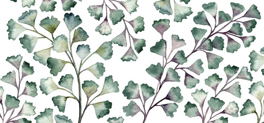 watercolor drawing background with green leaves of maidenhair fern at white background, ,floral backdrop, hand drawn botanical illustration © cat_arch_angel