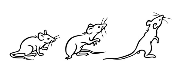 Mouse. Set of black and white outline rats silhouettes in different poses, emotions and movements. Hand drawn contour sketch of rodents for coloring books, postcards, printing