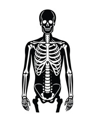 vector illustration of a human skeleton silhouette icon