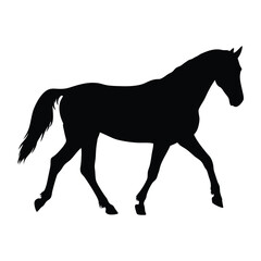 Obraz premium Horse vector silhouette
