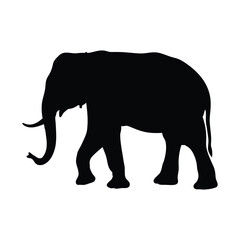 Fototapeta premium Elephant vector silhouette