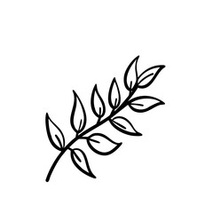 hand drawn sketch botanical branch Outline Icon