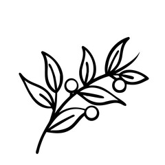 hand drawn sketch botanical branch Outline Icon
