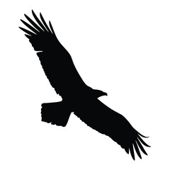 Eagle vector silhouette