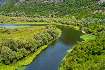 Fototapeta premium River Rijeka Crnojevića (River of Crnojević) flowing in the mountains near the Lake Skadar in Montenegro