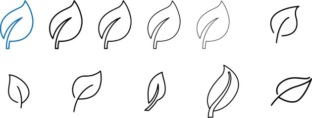 Nature's Leaves: Minimalist Line Art Illustrations