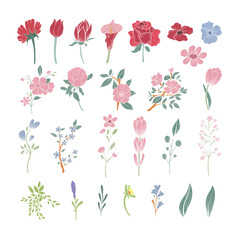 Set if cute wild flowers in vector technique, isolated. 