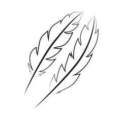 Fototapeta premium Vector illustration of a hand drawn feather