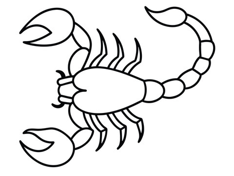 recommend clip art: scorpion line art silhouette illustration, Scorpion line vector illustration, a detailed line art drawing of a scorpion illustration