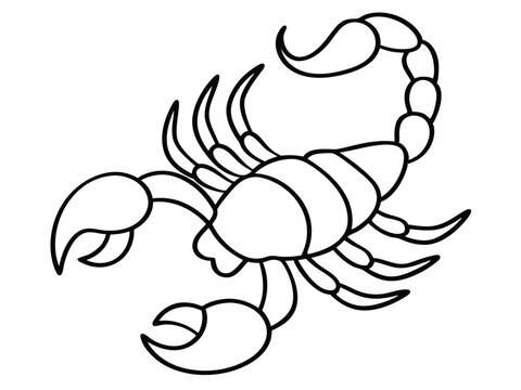 recommend clip art: scorpion line art silhouette illustration, Scorpion line vector illustration, a detailed line art drawing of a scorpion illustration