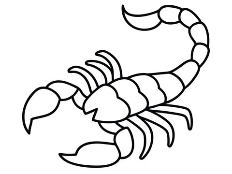 recommend clip art: scorpion line art silhouette illustration, Scorpion line vector illustration, a detailed line art drawing of a scorpion illustration