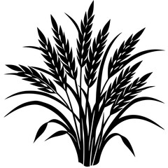 wheat ears isolated on white