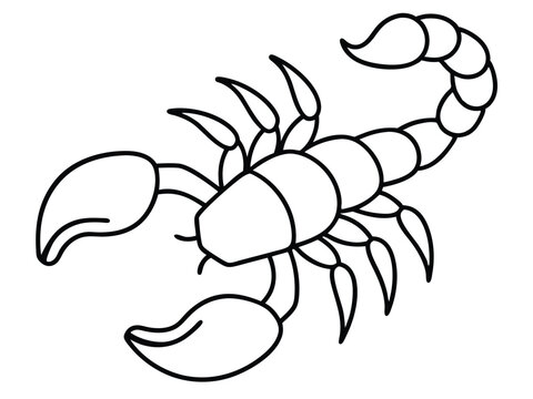recommend clip art: scorpion line art silhouette illustration, Scorpion line vector illustration, a detailed line art drawing of a scorpion illustration