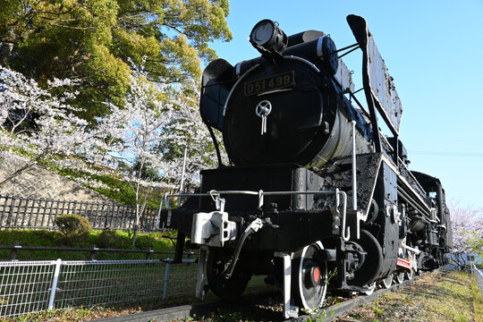D51形499号機 津偕楽公園 三重県津市