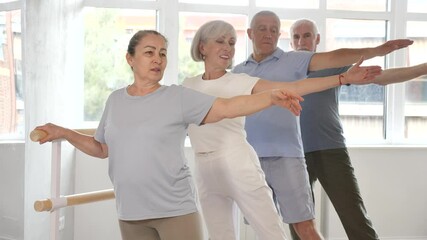 Cheerful active elderly woman training various ballet poses during group classes with ballet dancers at barre in bright choreography studio - Powered by Adobe