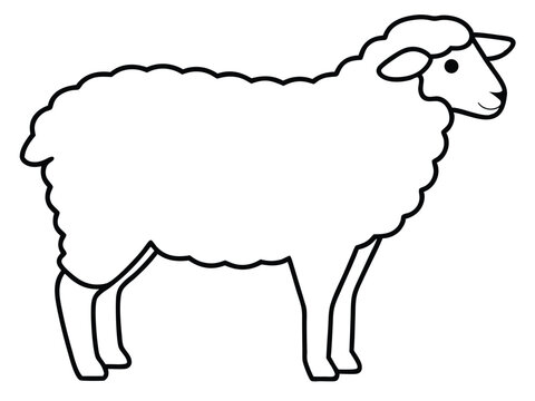 recommend clip art: Minimalist Sheep Line Art, Sheep Outline Drawing, Sheep silhouette line art vector