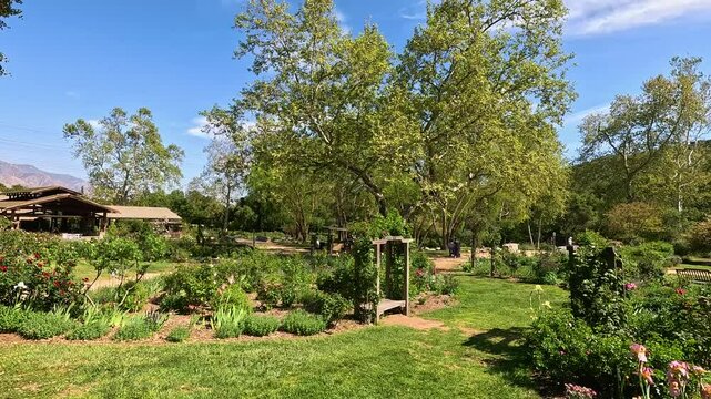 footage of a gorgeous spring landscape with colorful flowers and lush green trees and plants at Descanso Gardens La Canada Flintridge California USA