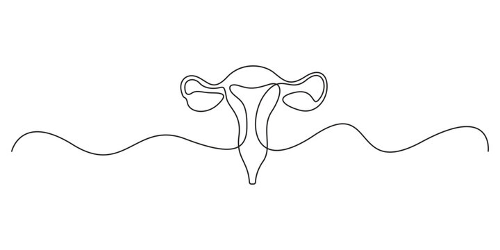 Continuous single line drawing of women's Uterus and Ovary. One line Female reproductive system uterus vector illustration isolated on white background graphic illustration